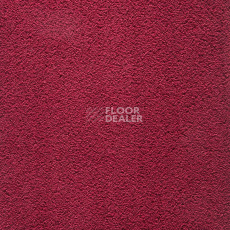 Balta Wild Luxury Winnie 16 фото 1 | FLOORDEALER
