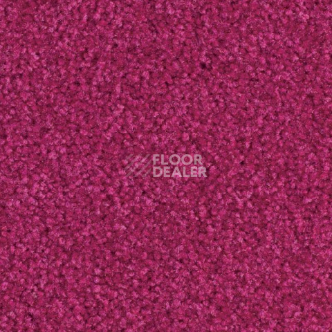 Ковролин Balsan Bolero 555 фото 1 | FLOORDEALER