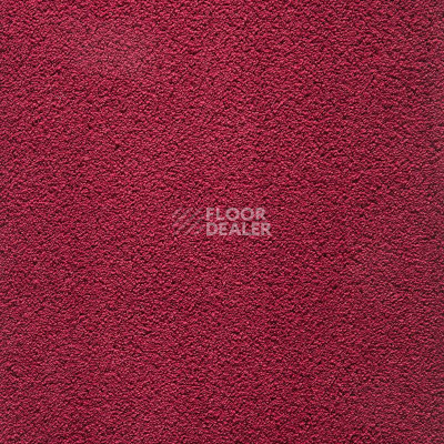 Ковролин Balta Wild Luxury Winnie 16 фото 1 | FLOORDEALER