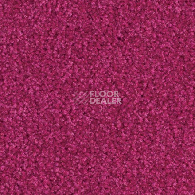 Ковролин Balsan Bolero 555 фото 1 | FLOORDEALER