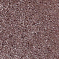 Ковролин Serene Beaulieu of America 30 фото 1 | FLOORDEALER