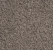 Ковролин Condor Crown Condor Crown  94 фото 1 | FLOORDEALER