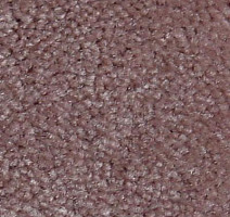 Ковролин Serene Beaulieu of America 30 фото 1 | FLOORDEALER