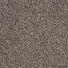 Ковролин Condor Crown Condor Crown  94 фото 1 | FLOORDEALER