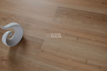 Evofloor Optima Click 4.2мм Дуб Миндаль фото 4 | FLOORDEALER