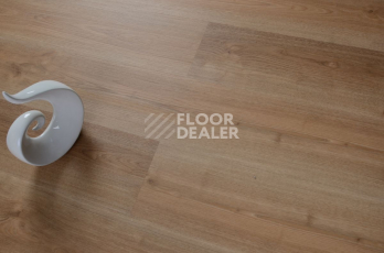 Evofloor Optima Click 4.2мм Дуб Миндаль фото 4 | FLOORDEALER