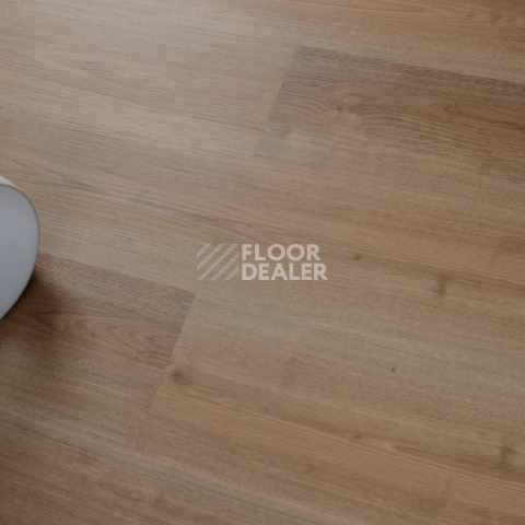 Evofloor Optima Click 4.2мм Дуб Миндаль фото 4 | FLOORDEALER