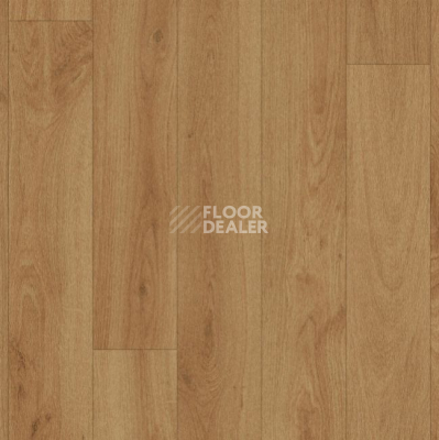 Линолеум Grabo Silver Knight Acoustic 7 2519_371_662 фото 1 | FLOORDEALER