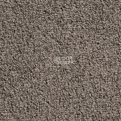 Ковролин Condor Crown Condor Crown  94 фото 1 | FLOORDEALER