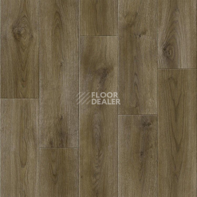 Линолеум Tarkett Absolut LUIS 3 фото 1 | FLOORDEALER