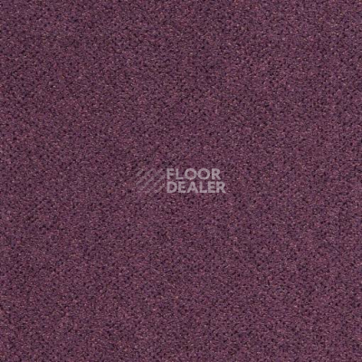 Ковролин Balta ITC Altro 18 фото 1 | FLOORDEALER