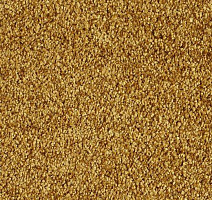 Ковролин Lano Euphoria Eup 0370 фото 1 | FLOORDEALER