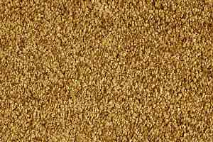 Ковролин Lano Euphoria Eup 0370 фото  | FLOORDEALER