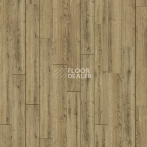 Kronotex Robusto 12мм d40782 Дуб Джалон фото 4 | FLOORDEALER