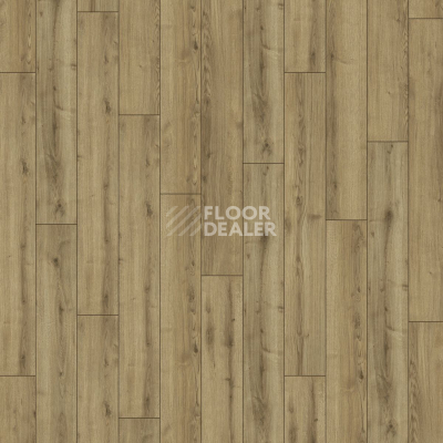 Ламинат Kronotex Robusto 12мм d40782 Дуб Джалон фото 4 | FLOORDEALER