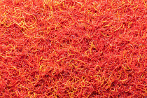 Ковровая плитка Forte в плитке 96036 t Rouge фото 1 | FLOORDEALER