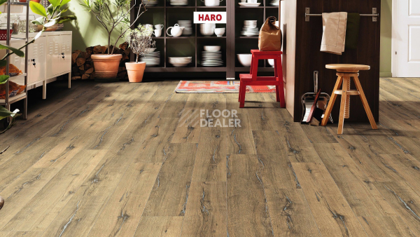 Ламинат Haro Tritty 200 Aqua 4V Дуб Металлик Натур 544775 фото 3 | FLOORDEALER