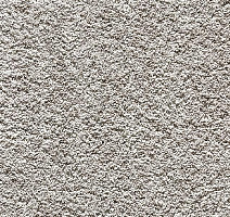 Ковролин Balta Pure Elegance Pure Elegance 0925 фото 1 | FLOORDEALER