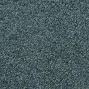 Ковролин Desso Pallas-Brlm 9513  | FLOORDEALER