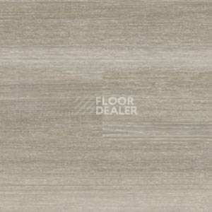 Линолеум Polyflor Expona Wood 6164 фото 1 | FLOORDEALER
