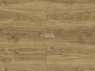 Kronopol Platinium Bella Aqua Block 10мм Дуб Урании D40644 фото 1 | FLOORDEALER