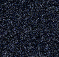 Грязезащитные покрытия Forbo Coral Luxe 2917 Sapphire фото 1 | FLOORDEALER