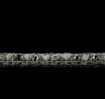 Balsan Take a Walk 220 Take a Walk фото 5 | FLOORDEALER