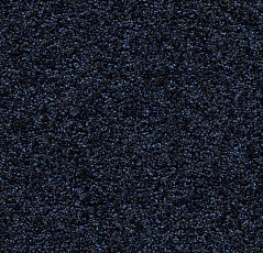 Грязезащитные покрытия Forbo Coral Luxe 2917 Sapphire фото 1 | FLOORDEALER