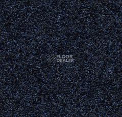Грязезащитные покрытия Forbo Coral Luxe 2917 Sapphire фото 1 | FLOORDEALER