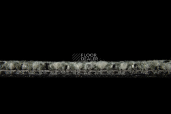 Balsan Take a Walk 220 Take a Walk фото 5 | FLOORDEALER