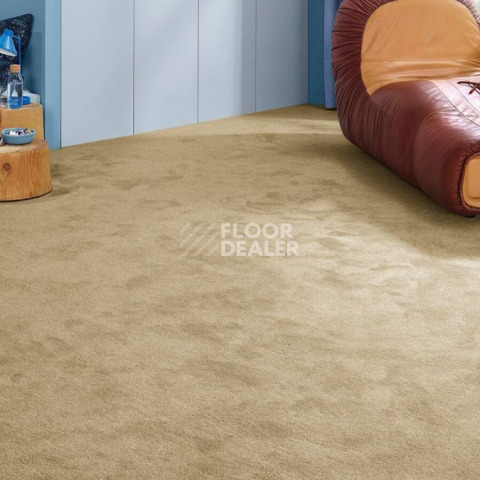 Vorwerk Essential 1076 Vorwerk 8k12 фото 2 | FLOORDEALER