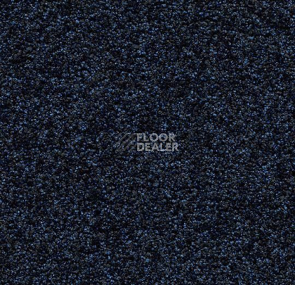 Грязезащитные покрытия Forbo Coral Luxe 2917 Sapphire фото 1 | FLOORDEALER