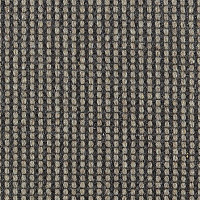 Ковролин Carpet Concept Goi 4 290910 фото 1 | FLOORDEALER