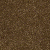 Shaw Design Texture Platinum 773 фото 1 | FLOORDEALER