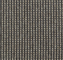 Ковролин Carpet Concept Goi 4 290910 фото 1 | FLOORDEALER