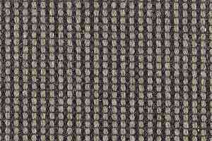 Ковролин Carpet Concept Goi 4 290910 фото  | FLOORDEALER