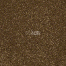 Ковролин Shaw Design Texture Platinum 773 фото 1 | FLOORDEALER