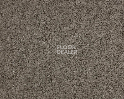 Ковролин Lano Incasa 270 Almond фото 1 | FLOORDEALER