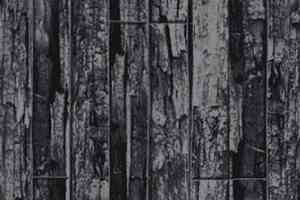 Ковролин Halbmond Quickstart b 10-1 фото  | FLOORDEALER