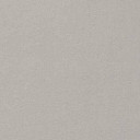 Ковролин Vorwerk Passion 1021 Vorwerk  5p96  | FLOORDEALER