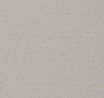 Ковролин Vorwerk Passion 1021 Vorwerk  5p96 фото 1 | FLOORDEALER