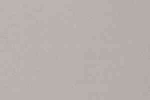 Ковролин Vorwerk Passion 1021 Vorwerk  5p96 фото  | FLOORDEALER