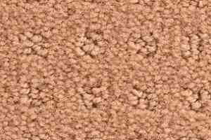 Ковролин Balsan Patio Patio 520 фото  | FLOORDEALER