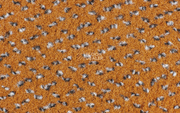 AW Magma 80 фото 3 | FLOORDEALER