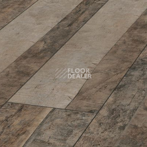 Ламинат Kronotex Exquisit Plus d4981 Дуб Трейл фото 1 | FLOORDEALER