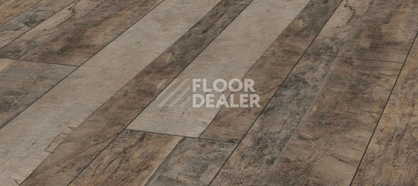Ламинат Kronotex Exquisit Plus d4981 Дуб Трейл фото 1 | FLOORDEALER