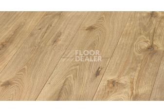 Ламинат Kronopol Aurum Senso d3481 Хикори Диско фото 1 | FLOORDEALER
