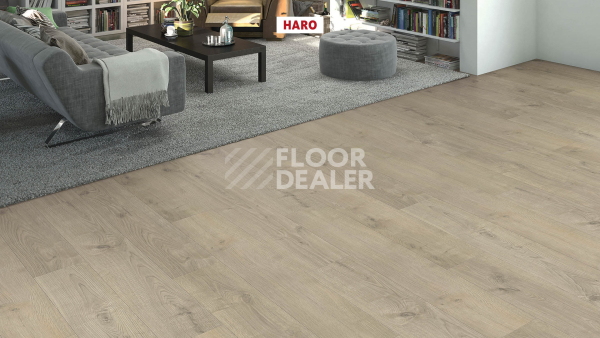 Ламинат Haro Tritty 90 Дуб Торри Серый 544696 фото 3 | FLOORDEALER