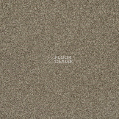 Ковровая плитка Interface Polichrome 7564 Siena фото 1 | FLOORDEALER