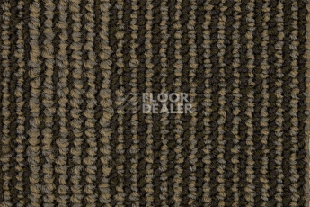 Escom Coral 5414 фото 2 | FLOORDEALER